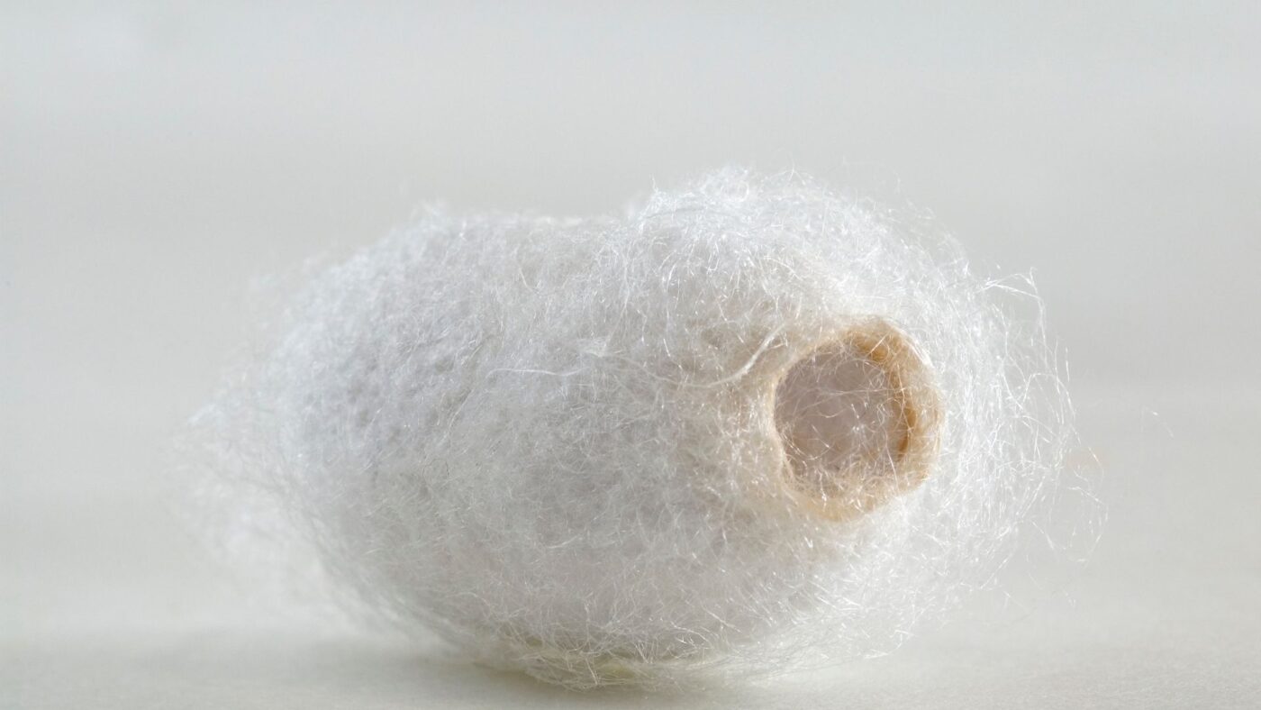 what is mulberry silk made of