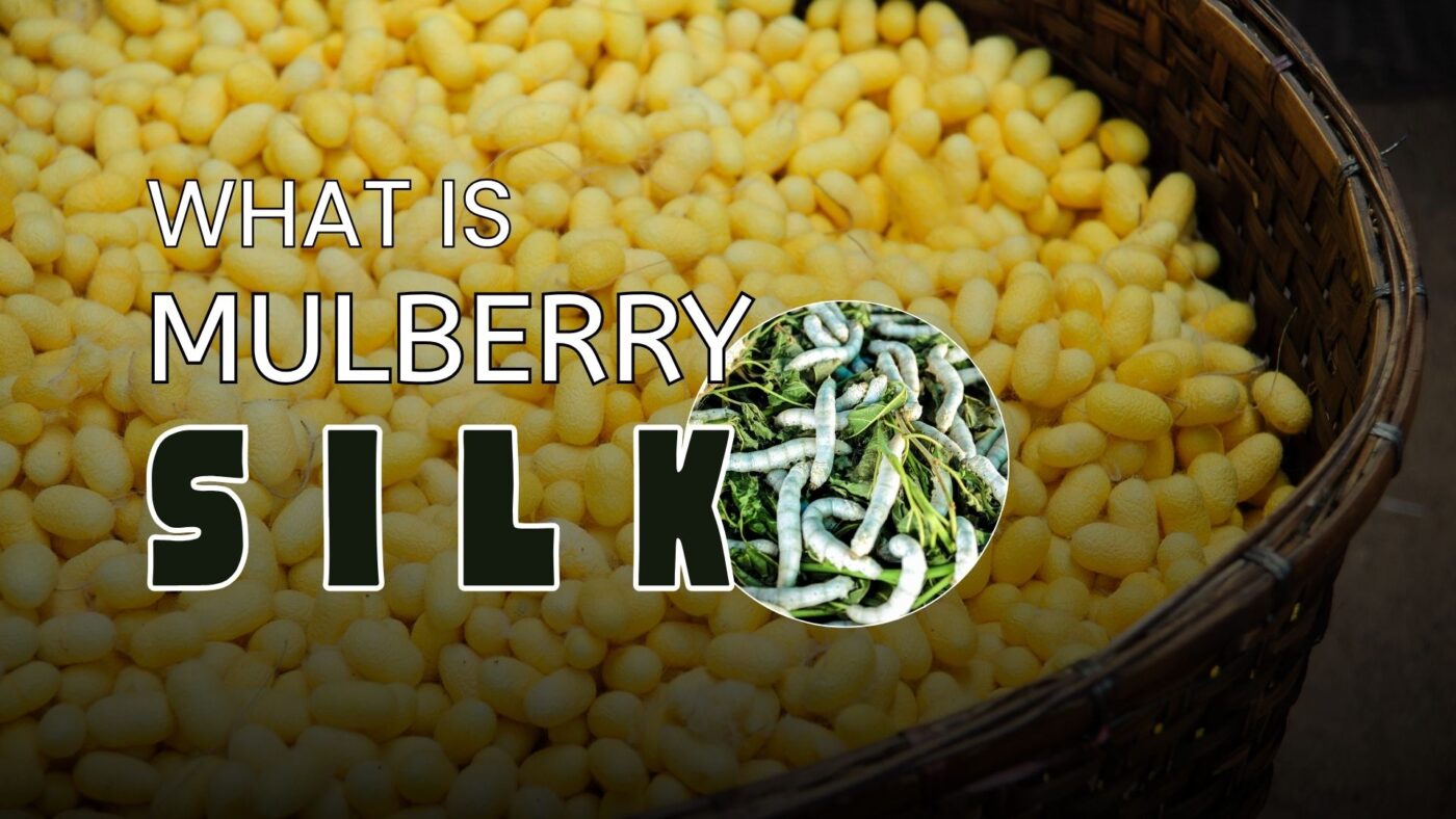 what is mulberry silk