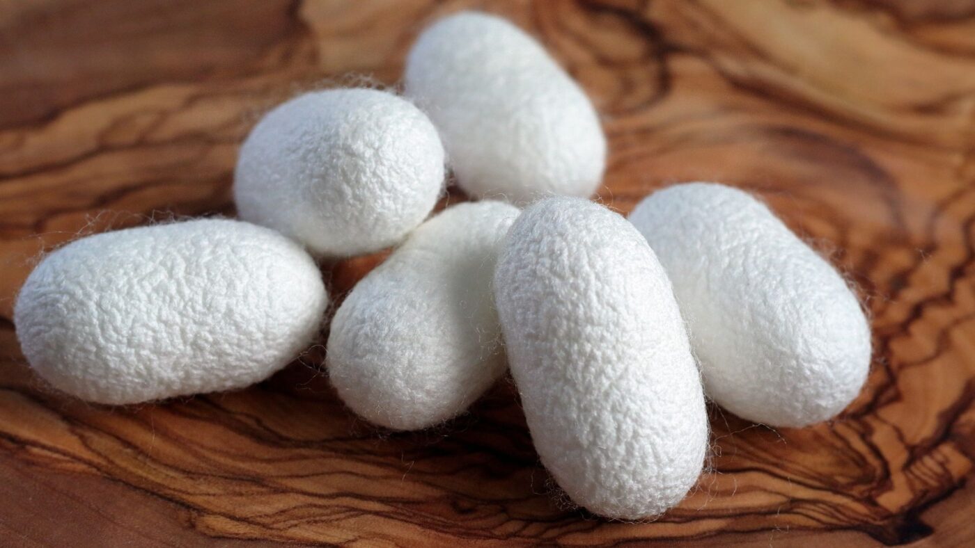 what is mulberry silk 2